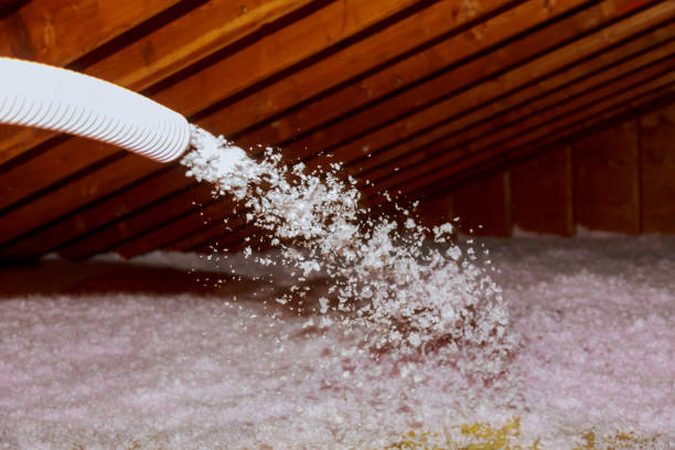 Best Insulation Removal  in Brady, TX