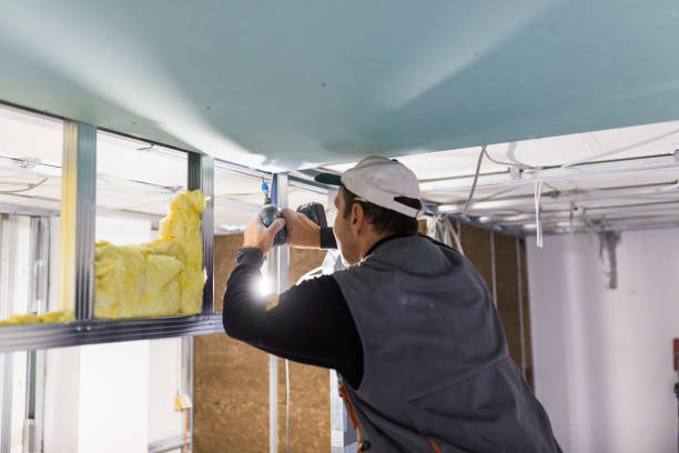 Best Insulation Removal  in Brady, TX